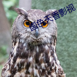 国色天香影视