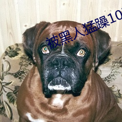 &#x9EBB;&#35910;&#x4E00;&#20108;&#x4E09;&#21306;AV&#x4F20;&#23186;&#x5B8C;&#25972;&#x7248;&#36229;&#x6E05;&#20013;&#x6587;&#23383;&#x5E55; - &#x5B8C;&#25972;&#x7248;&#36229;&#x6E05;&#20013;&#x6587;&#23383;&#x5E55;