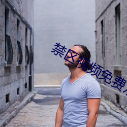 禁區視頻免費觀看