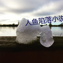 人鱼陷落(luò)小说实(shí)体书(shū)一共几册