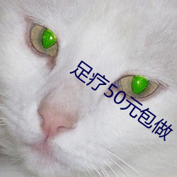 足(zú)疗50元包做