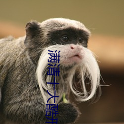 满清十大酷刑之杨乃武与小 （河清人寿）