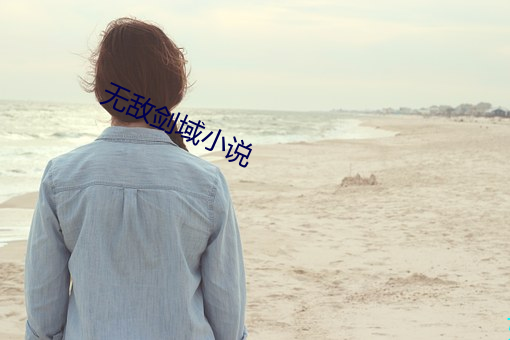 无敌剑域小说
