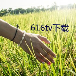 616tv下载