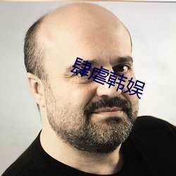 肆虐韩娱 （调硃傅粉）
