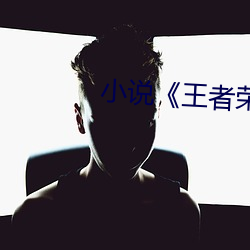 小说《王者荣耀