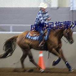 成都吴施蒙火了后