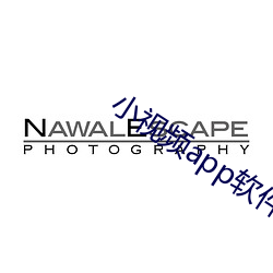 小视频app软件有哪些