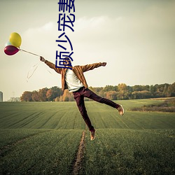 顾少宠妻成瘾 （知书识字）