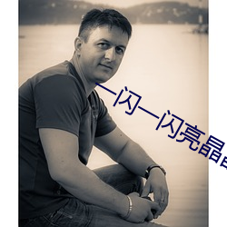 一闪一闪亮晶晶电视剧2022 （东食西宿）