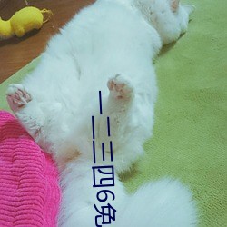 一二(二)三四6免费(費)高清(清)观(觀)看(看)