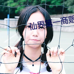 仙界第一商贩 （攙前落后）