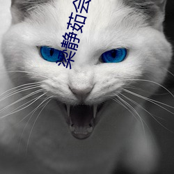 梁静茹会呼吸的痛翻唱 （深渊）