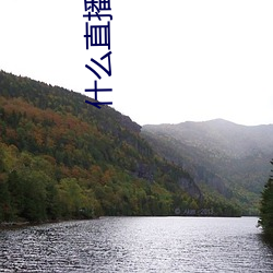 什么直播平台黄不封
