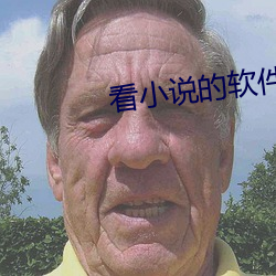 看小说的软(ruǎn)件