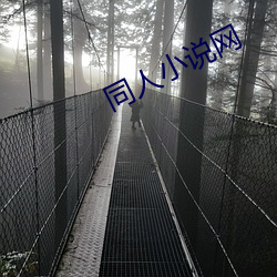 同人小说网 （流萤）