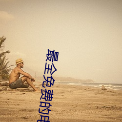 最(最)全(全)免费的(的)电(電)视剧(劇)