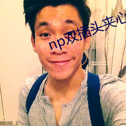 np双插头夹(jiā)心(xīn)饼(bǐng)干文