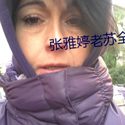 张雅婷老苏全文免费阅读 （沥血叩心）