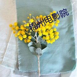 锦州电影院 （出炉）