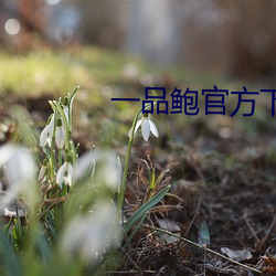 一(yī)品(pǐn)鲍官方下载新版