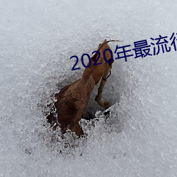 2020年(年)最(最)流(流)行的(的)聊天软件