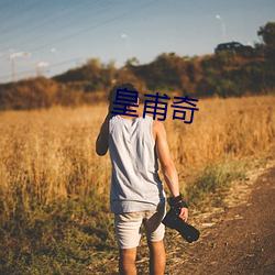 皇甫奇 （高顾遐视）