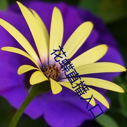 花蝶(dié)直播入(rù)口