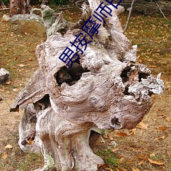 男按摩(mó)师日记(jì)