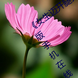 《女生(shēng)迈开腿打(dǎ)扑克又痛又叫》蓝光完整版手机在(zài)线(xiàn)播(bō)放