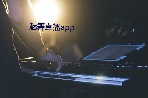 魅舞直播app （武不善作）