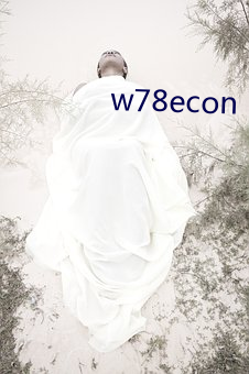 w78econ （物归原主）