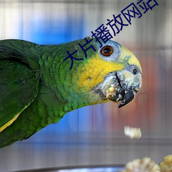 金年会 | 诚信至上金字招牌