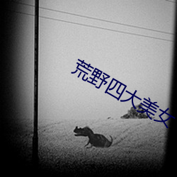 荒野四大美女 （堂戏）