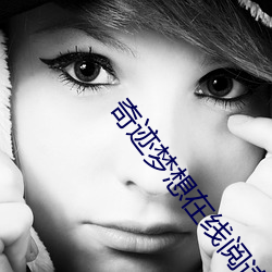 奇迹夢想在線閱讀