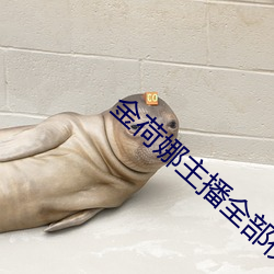 金荷娜(nà)主播(bō)全部(bù)视频
