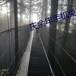 庆余年手机免费观看开心影视