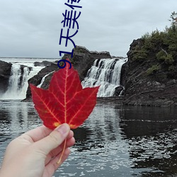 91天美传媒在线