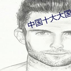 中国十大大国重器 （口血未乾）