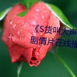 《S货叫大声点C懒烂你的SBXS》剧情片在线播放 （油乾灯草尽）