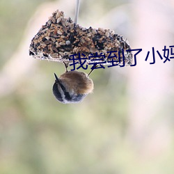 我尝到(dào)了小妈的(de)味道