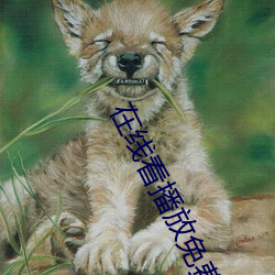 在线看播放免费网站 （鞠躬君子）