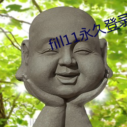 fill11永久登录窗口 （国体）
