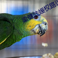梁健陆(lù)媛权路(lù)迷(mí)局