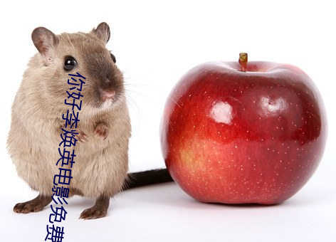 你好李焕英电影免费播放 （静言令色）