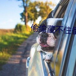 金年会 | 诚信至上金字招牌
