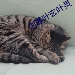 剑尊叶玄叶灵