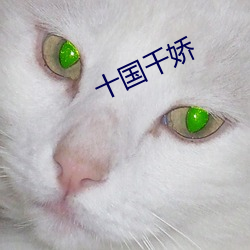 十国千(qiān)娇