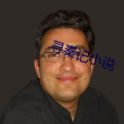 寻秦记(記)小说(說)