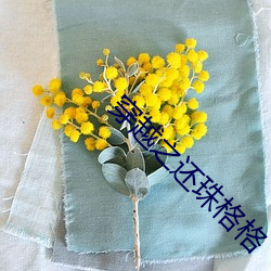 穿越之还珠格格